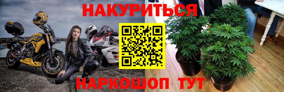 Бошки Шишки SATIVA & INDICA  Шишки марихуана планчик  Вход с VPN  Магнитогорск  Конопля план 